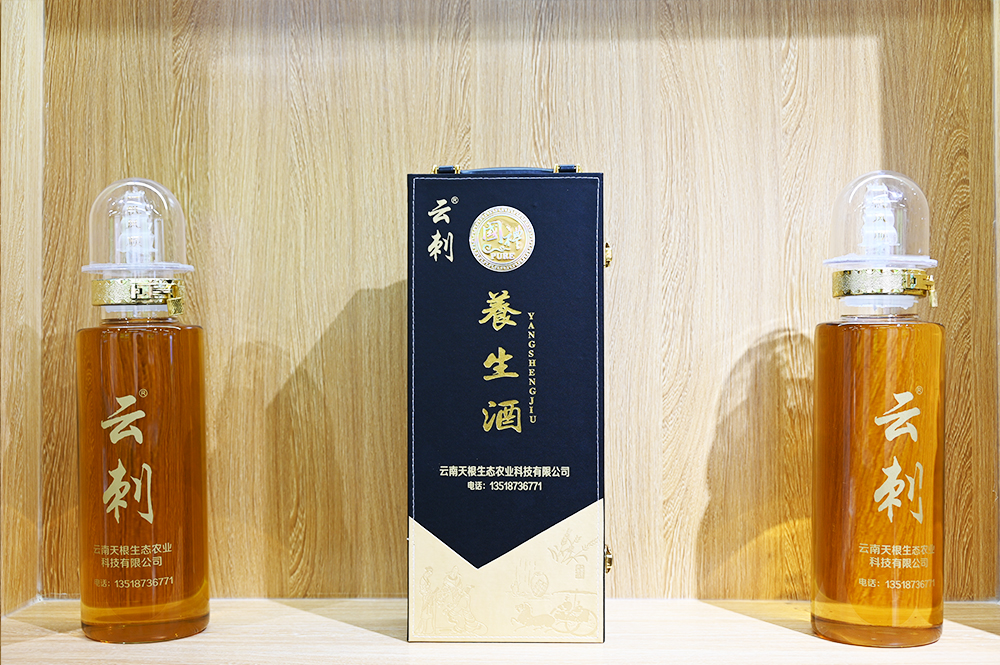 开云体云app(中国)官方网站
